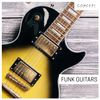 Download Sample pack Funk Guitars