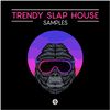 Download Sample pack Trendy Slap House