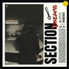 Download Sample pack Section Dreams