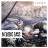 Download Sample pack Melodic Bass