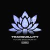 Download Sample pack Tranquillity Future Bass Drum Kit