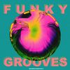 Download Sample pack Funky Grooves