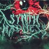 Download Sample pack SYNTH MADNESS I™