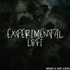 Download Sample pack Experimental Lo-Fi