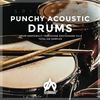 Download Sample pack Punchy Acoustic Drums