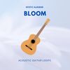Download Sample pack Bloom