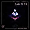Download Sample pack Moonlight - Melodic Techno Samples