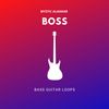 Download Sample pack Boss: Bass Guitar Loops