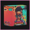 Download Sample pack AfroBoi Bundle 750+ Loops, MIDIs & One-Shots