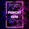 Download Sample pack Punchy EDM