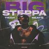 Download Sample pack Big Steppa - Trap Beats (155 Files)