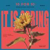 Download Sample pack 10 FOR 10 SPRING BUNDLE - Dancehall Edition