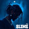 Download Sample pack SLIME vol 1