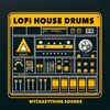 Download Sample pack Lo Fi House Drums