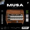 Download Sample pack MUSA - ONE SHOT KIT