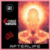 Download Sample pack Afterlife - Cubase Pro Template