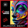 Download Sample pack Aurora Beat