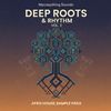 Download Sample pack Deep Roots & Rhythm Vol. 2