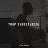 Download Sample pack Trap Synesthesia