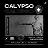 Download Sample pack CALYPSO - BUNDLE PRESETS ANALOG LAB V BANK