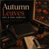 Download Sample pack Autumn Leaves - Lo-Fi & Soul Samples