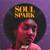 Download Sample pack Soul Spark