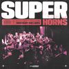 Download Sample pack Super Horns