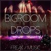 Download Sample pack Bigroom Drops