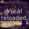 Download Sample pack Vocal Reloaded (1200+ vocal samples)