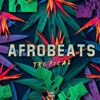 Download Sample pack Afrobeats Tropical