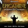 Download Sample pack Epicamine - Orchestral & Cinematic