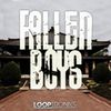 Download Sample pack Fallen Boys