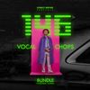 Download Sample pack 146 Vocals Chops