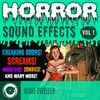Download Sample pack Horror Sound Effects Volume 1
