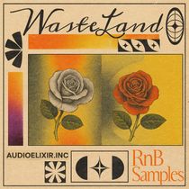 Download Sample pack Wasteland - RnB Samples