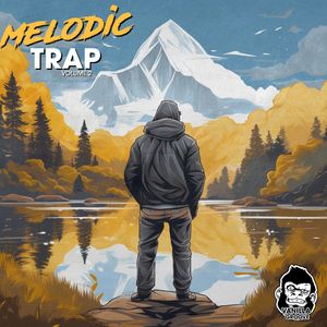 Download Sample pack Melodic Trap Vol 2