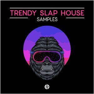 Download Sample pack Trendy Slap House