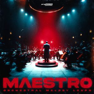 Download Sample pack Maestro