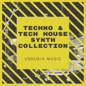 Download Sample pack Techno & Tech House Synth Collection