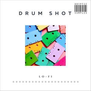 Download Sample pack Drum Shot: Lo-Fi