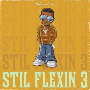 Download Sample pack Still Flexin 3