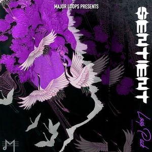 Download Sample pack Sentient