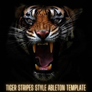 Download Sample pack Tiger Stripes Style