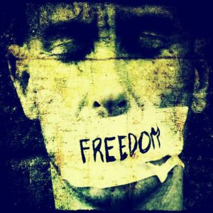 Download Sample pack Freedom!