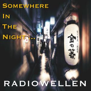 Download Sample pack Somewhere In The Night…
