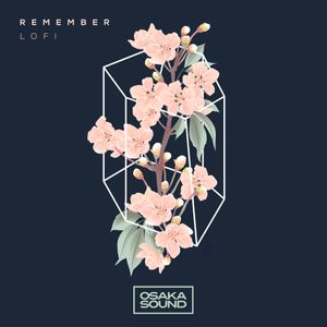 Download Sample pack Remember - Lofi