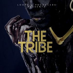 Download Sample pack The Tribe