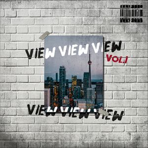 Download Sample pack View Vol 1