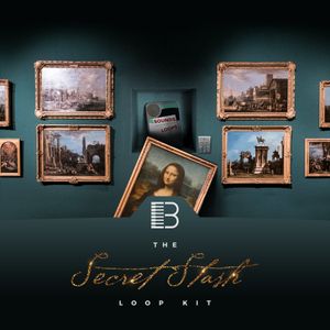 Download Sample pack The Secret Stash Loop Kit