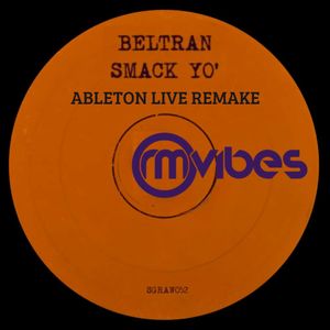 Download Sample pack Beltran - Smack Yo' RM Vibes Remake - Ableton 11 Template